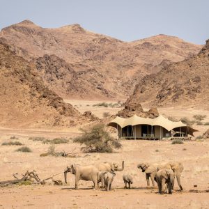 Hoanib-Skeleton-Coast-2014-08-319e