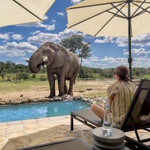 Ongava-Tented-Camp